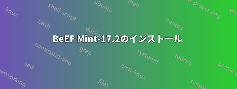 BeEF Mint-17.2のインストール