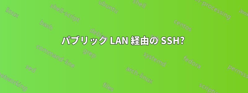 パブリック LAN 経由の SSH?