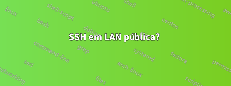 SSH em LAN pública?