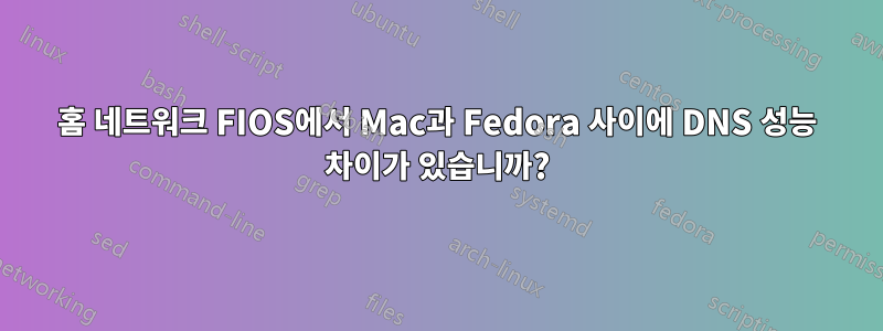 홈 네트워크 FIOS에서 Mac과 Fedora 사이에 DNS 성능 차이가 있습니까?