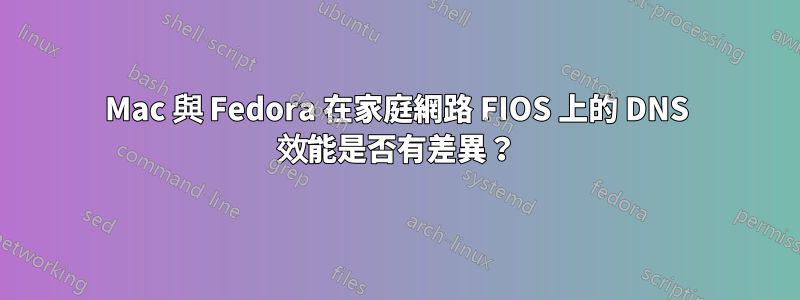 Mac 與 Fedora 在家庭網路 FIOS 上的 DNS 效能是否有差異？