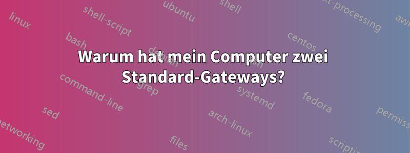 Warum hat mein Computer zwei Standard-Gateways?