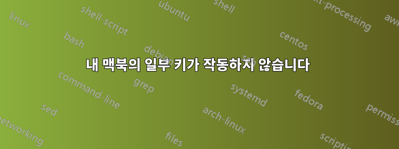 내 맥북의 일부 키가 작동하지 않습니다