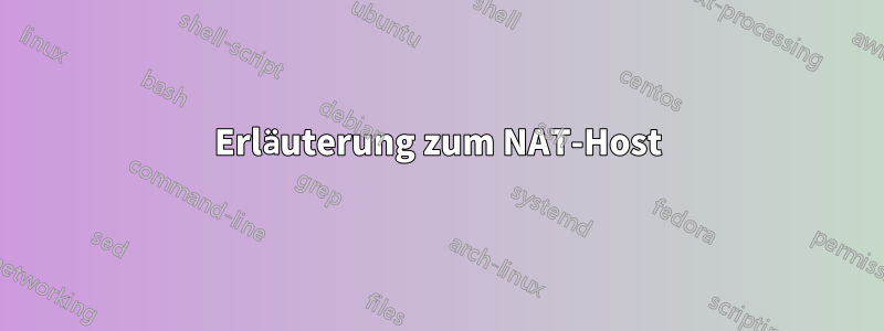 Erläuterung zum NAT-Host