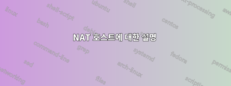 NAT 호스트에 대한 설명