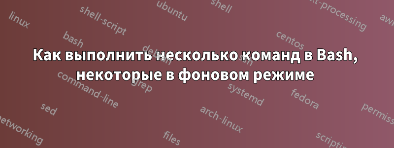 Как выполнить несколько команд в Bash, некоторые в фоновом режиме