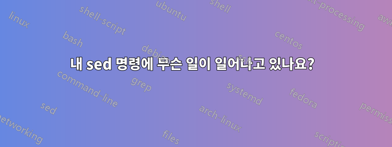 내 sed 명령에 무슨 일이 일어나고 있나요? 