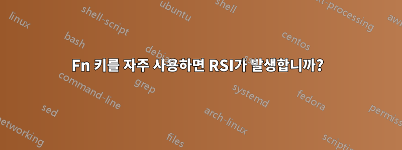 Fn 키를 자주 사용하면 RSI가 발생합니까? 