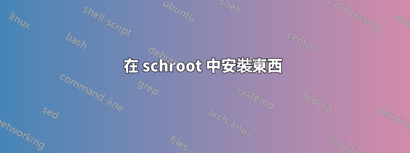 在 schroot 中安裝東西