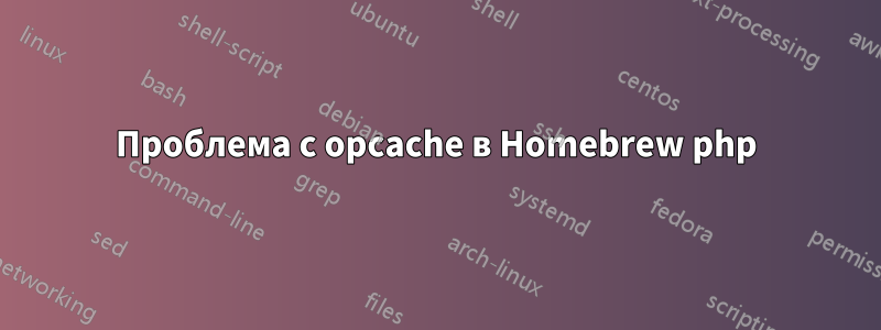 Проблема с opcache в Homebrew php