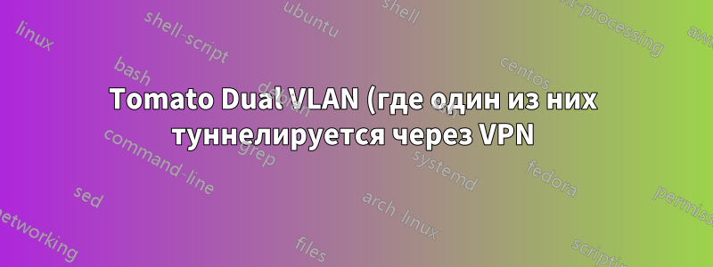 Tomato Dual VLAN (где один из них туннелируется через VPN)
