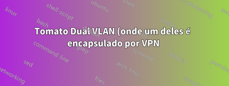 Tomato Dual VLAN (onde um deles é encapsulado por VPN)