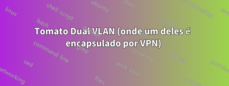 Tomato Dual VLAN (onde um deles é encapsulado por VPN)