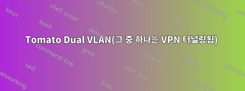 Tomato Dual VLAN(그 중 하나는 VPN 터널링됨)