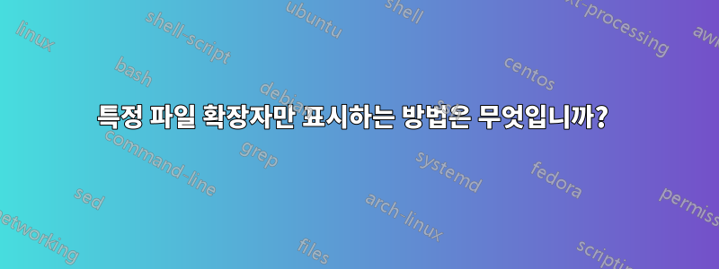 특정 파일 확장자만 표시하는 방법은 무엇입니까? 