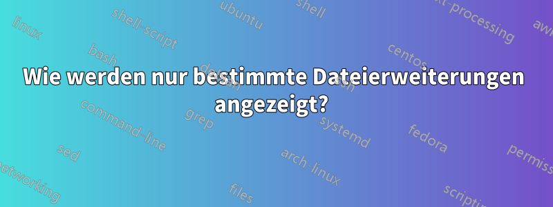 Wie werden nur bestimmte Dateierweiterungen angezeigt? 