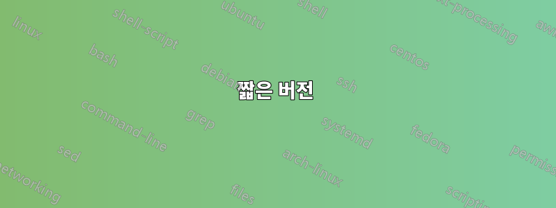 짧은 버전