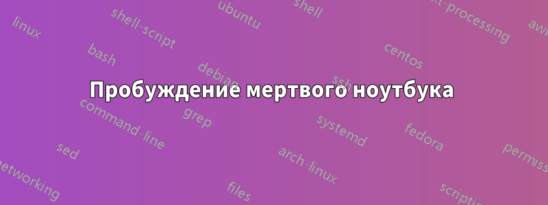 Пробуждение мертвого ноутбука