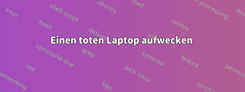 Einen toten Laptop aufwecken