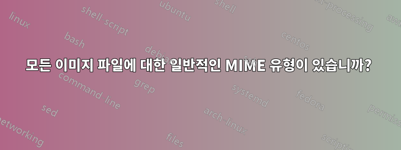 모든 이미지 파일에 대한 일반적인 MIME 유형이 있습니까?