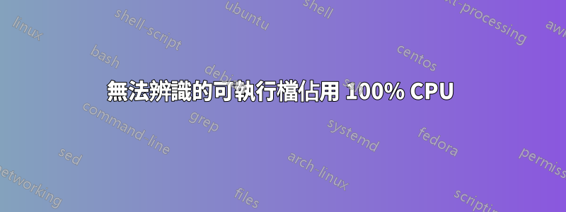 無法辨識的可執行檔佔用 100% CPU