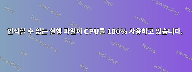 인식할 수 없는 실행 파일이 CPU를 100% 사용하고 있습니다.