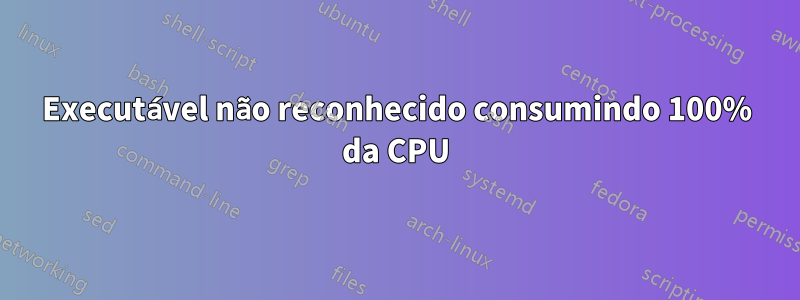 Executável não reconhecido consumindo 100% da CPU