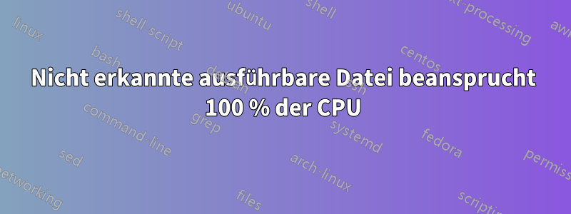 Nicht erkannte ausführbare Datei beansprucht 100 % der CPU