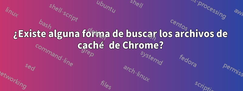 ¿Existe alguna forma de buscar los archivos de caché de Chrome?