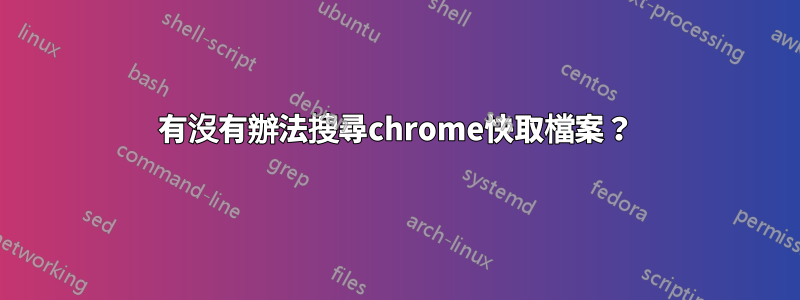 有沒有辦法搜尋chrome快取檔案？