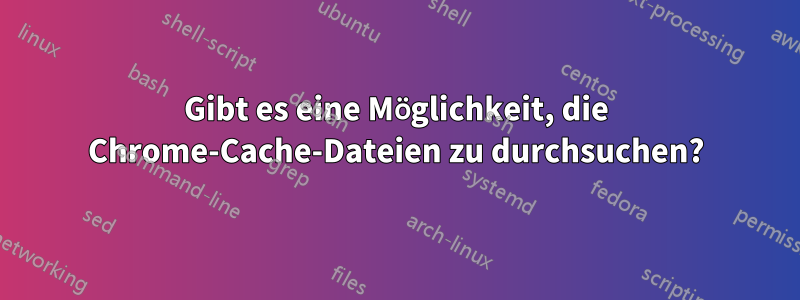 Gibt es eine Möglichkeit, die Chrome-Cache-Dateien zu durchsuchen?