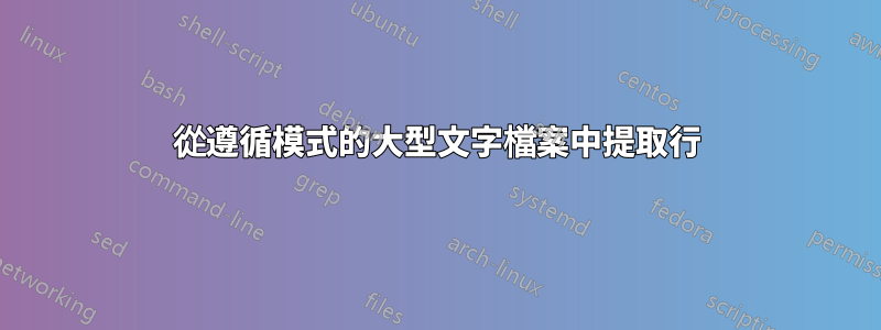 從遵循模式的大型文字檔案中提取行