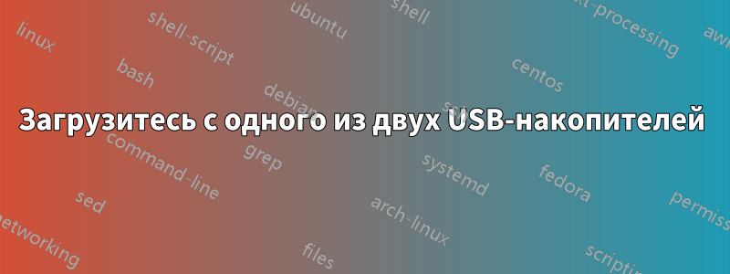 Загрузитесь с одного из двух USB-накопителей