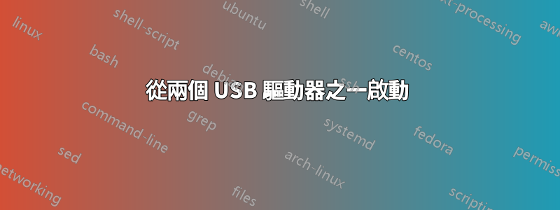 從兩個 USB 驅動器之一啟動