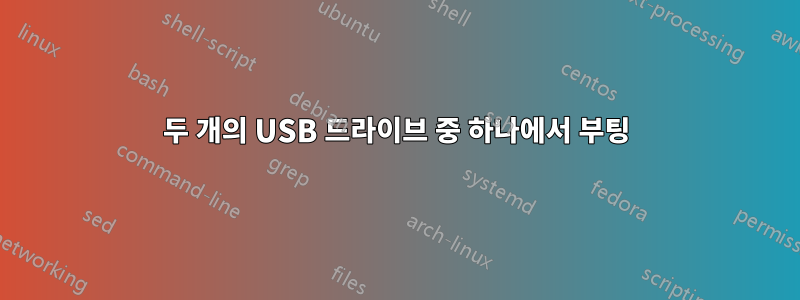 두 개의 USB 드라이브 중 하나에서 부팅