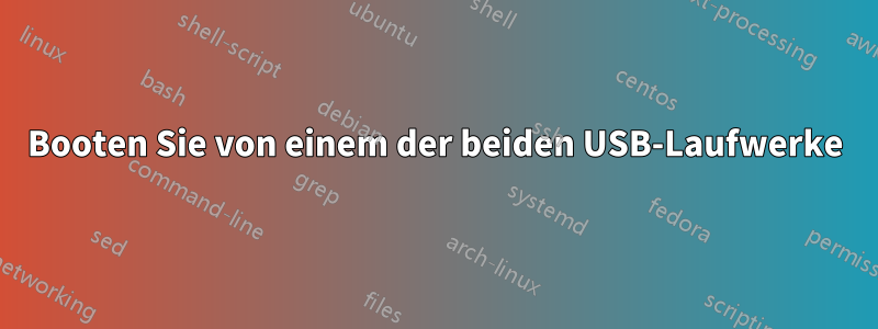 Booten Sie von einem der beiden USB-Laufwerke