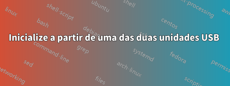 Inicialize a partir de uma das duas unidades USB