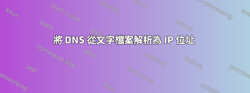 將 DNS 從文字檔案解析為 IP 位址