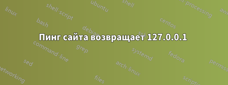 Пинг сайта возвращает 127.0.0.1