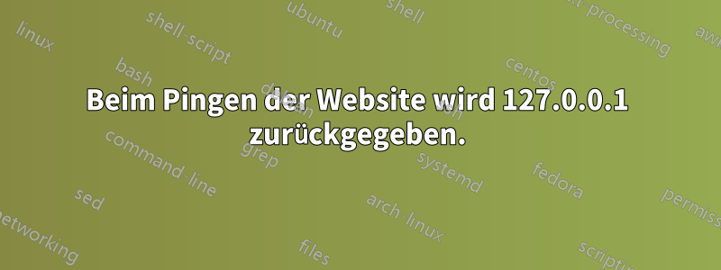 Beim Pingen der Website wird 127.0.0.1 zurückgegeben.