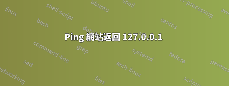 Ping 網站返回 127.0.0.1