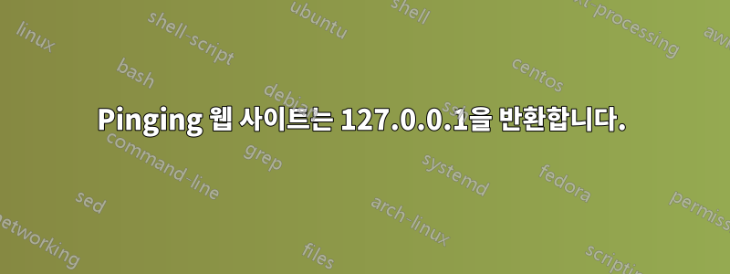 Pinging 웹 사이트는 127.0.0.1을 반환합니다.