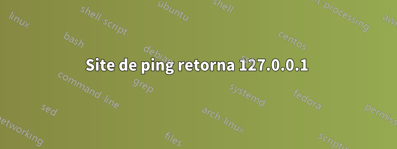 Site de ping retorna 127.0.0.1