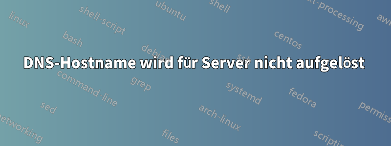 DNS-Hostname wird für Server nicht aufgelöst