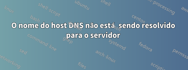 O nome do host DNS não está sendo resolvido para o servidor