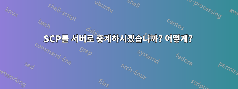 SCP를 서버로 중계하시겠습니까? 어떻게?