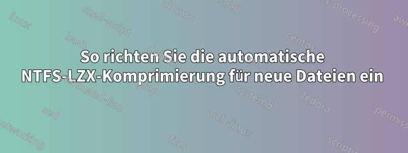 So richten Sie die automatische NTFS-LZX-Komprimierung für neue Dateien ein