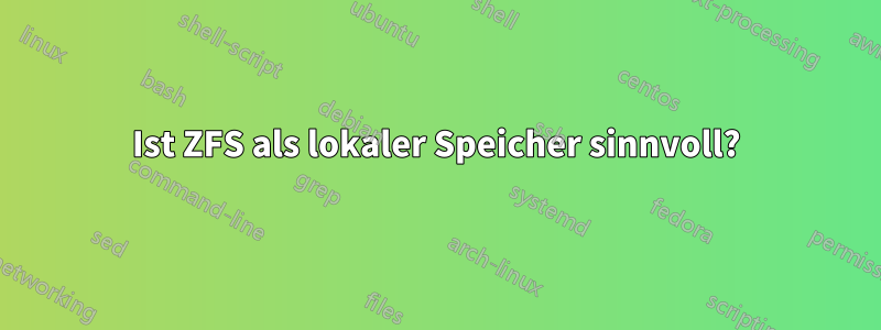 Ist ZFS als lokaler Speicher sinnvoll?