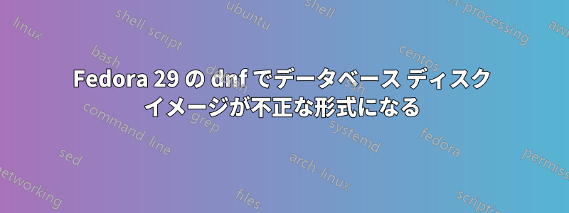 Fedora 29 の dnf でデータベース ディスク イメージが不正な形式になる