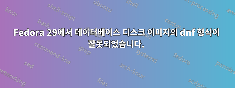 Fedora 29에서 데이터베이스 디스크 이미지의 dnf 형식이 잘못되었습니다.